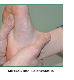 Muskel- und Gelenkstatus